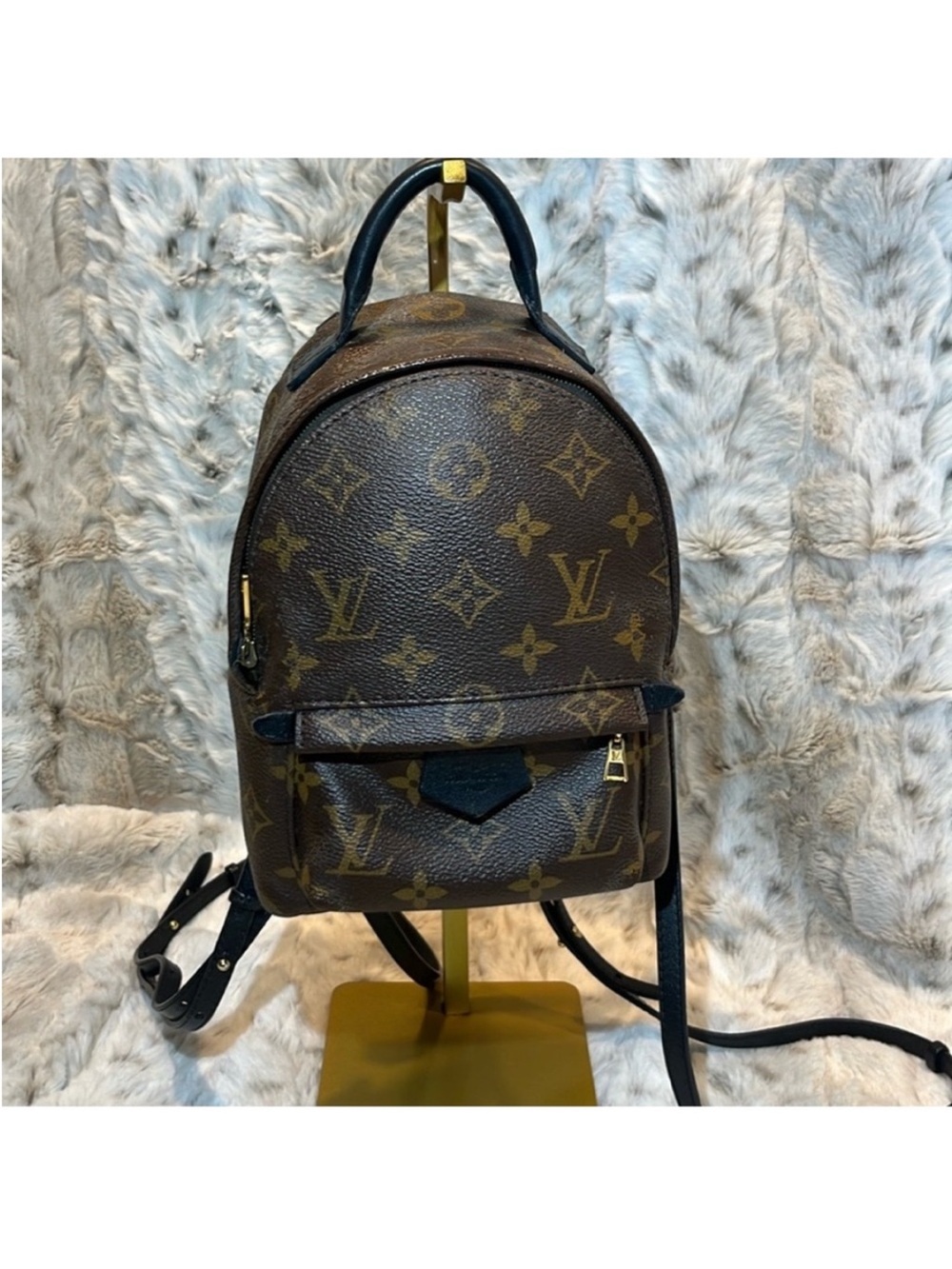 Louis Vuitton Palm Springs Monogram Canvas Mini Backpack in Brown and Black